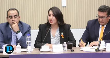 Congreso de Puebla plantea sancionar el seguimiento y vigilancia reiterada