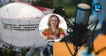 TEPJF elimina variable del INE que med&iacute;a iron&iacute;a y sarcasmo de periodistas