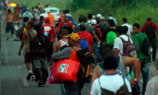 ¡OH-OH! Hallan seis casos de dengue entre integrantes de la caravana migrante