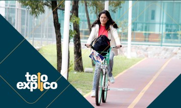 Te lo explico: Todo lo que necesitas saber si vas a ser usuario de las lobobicis