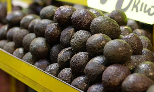 ¿Qué está pasando con la exportación de aguacates entre México y EU?