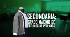 Secundaria; grado máximo de estudios en Puebla