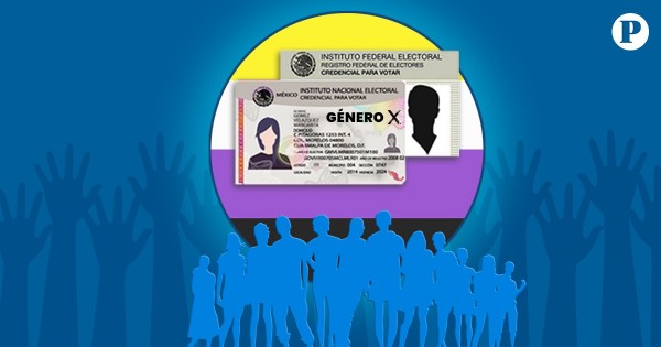 INE incluyente: Podrá aparecer una ‘X’ en el género de la credencial