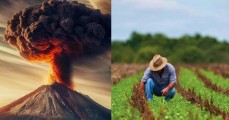 La ceniza volcánica: más que una broma en las redes sociales, un recurso con múltiples usos