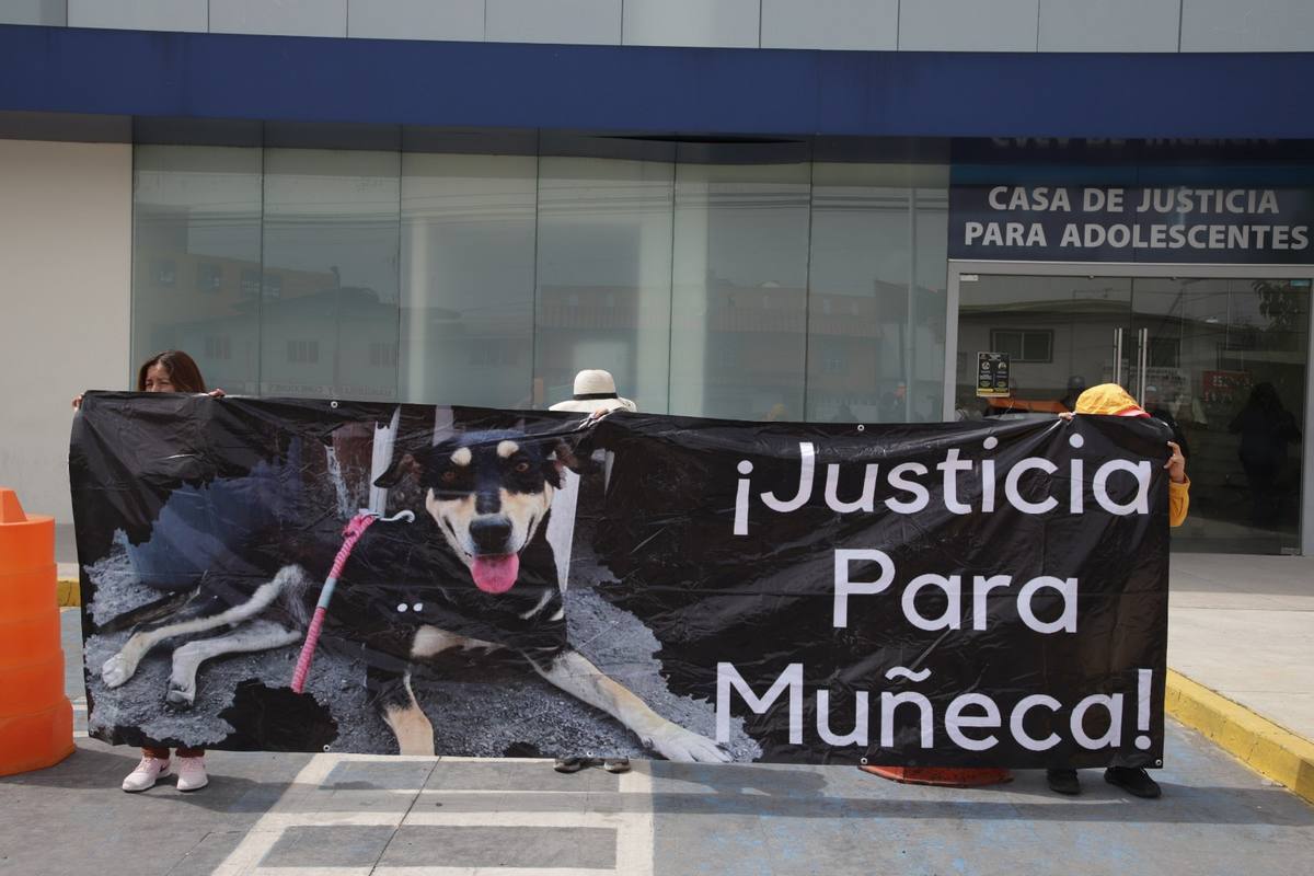 Muñeca, Perrita, Zoofilia