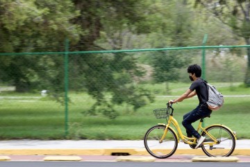 Lobobici: 10 Años de Movilidad Sustentable en Ciudad Universitaria