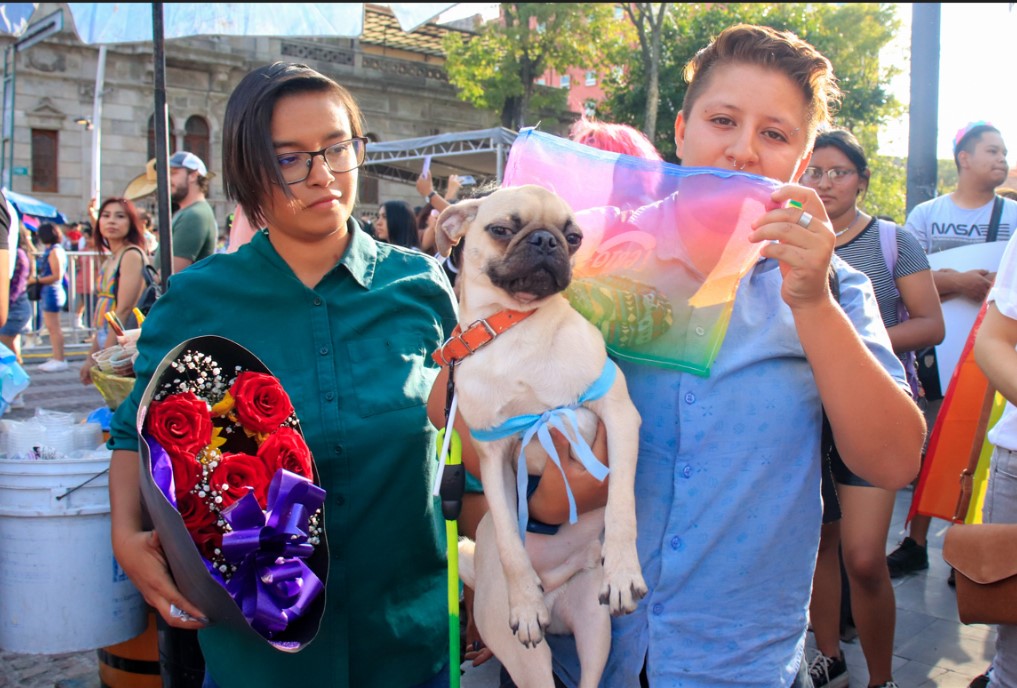 Día de la Visibilidad Bisexual.