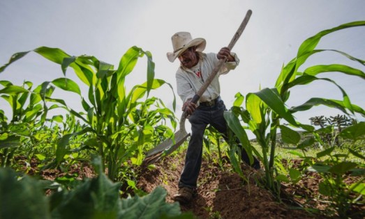 Riesgos del Fracking: Más de 38 mil unidades de sembrando vida en peligro