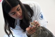 Hospital Veterinario BUAP: Cuidado experto para mascotas en Puebla desde 200