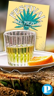 Conoce todo sobre el Festival de Mezcal y del Maguey en Tehuacán 2024