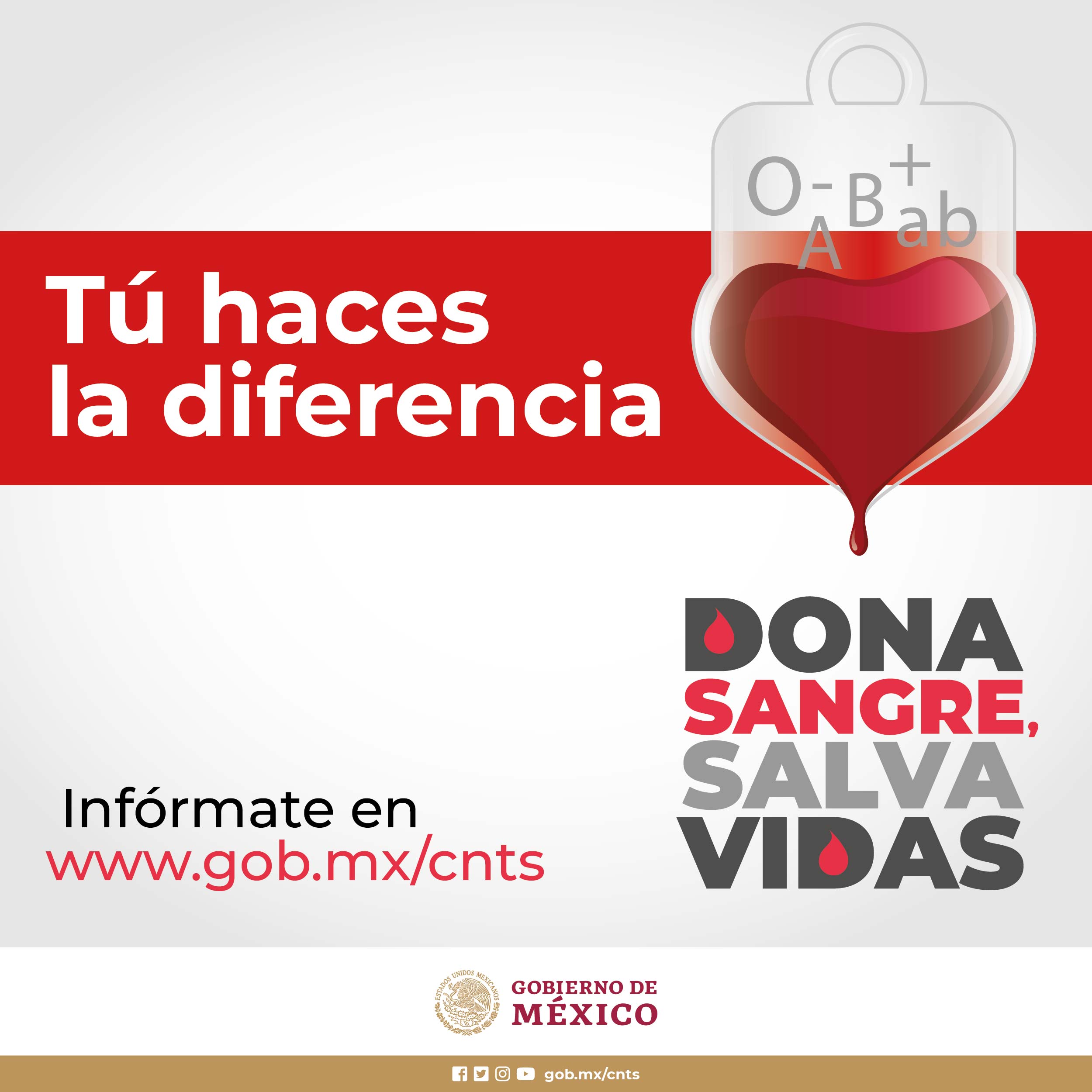 Infórmate sobre la donación de sangre. Fuente: Secretaría de Salud 