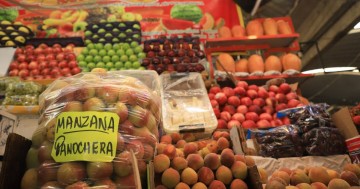 Escasez de Agua en Puebla Impacta la Producción de Frutas para Chiles en Nogada