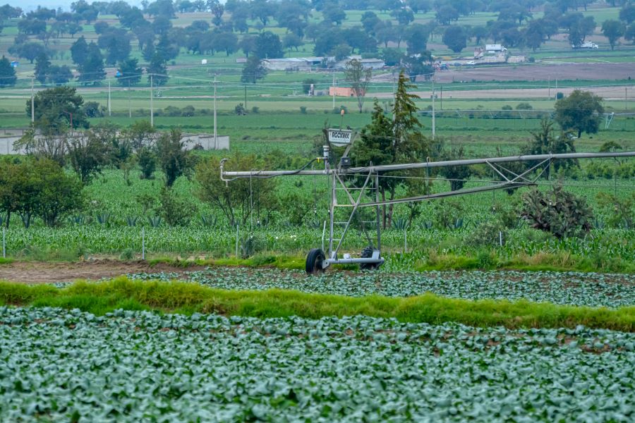 Convenios con la industria de alimentos hacen posible la donación a Bancos de Alimentos. Foto: EsImgen