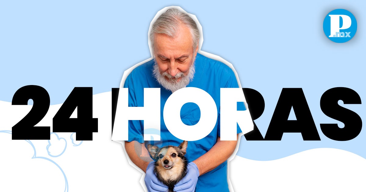 Clínicas veterinarias 24 horas