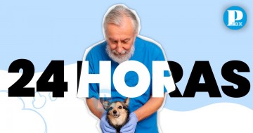 Clínicas veterinarias 24 horas