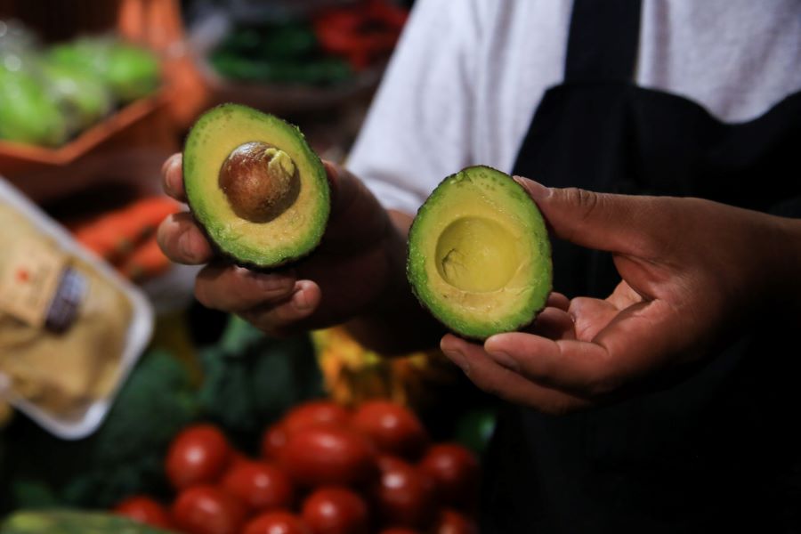 Día del aguacate. Foto: EsImagen