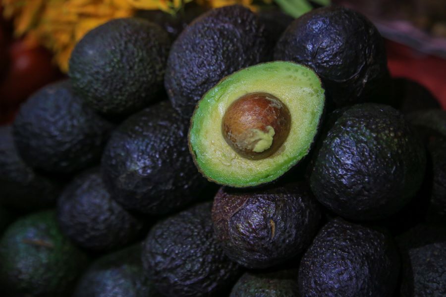 Día Internacional del Aguacate. Foto: EsImagen