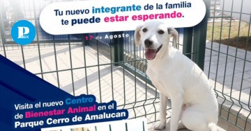 Centro de Bienestar Animal en Amalucan