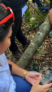 BUAP recibe reconocimiento por impacto en comunidades indígenas