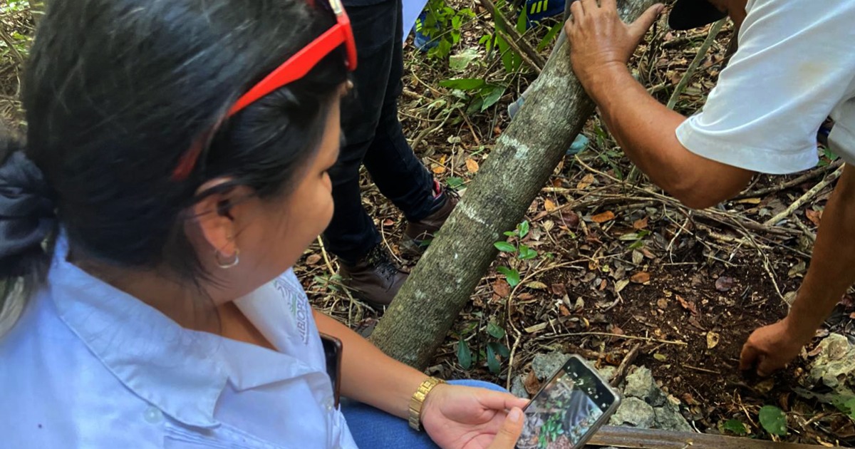 BUAP recibe reconocimiento por impacto en comunidades indígenas