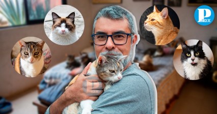 El &lsquo;Se&ntilde;or de los Gatos&rsquo; rescata y cuida a 50 felinos en Tlaxcala