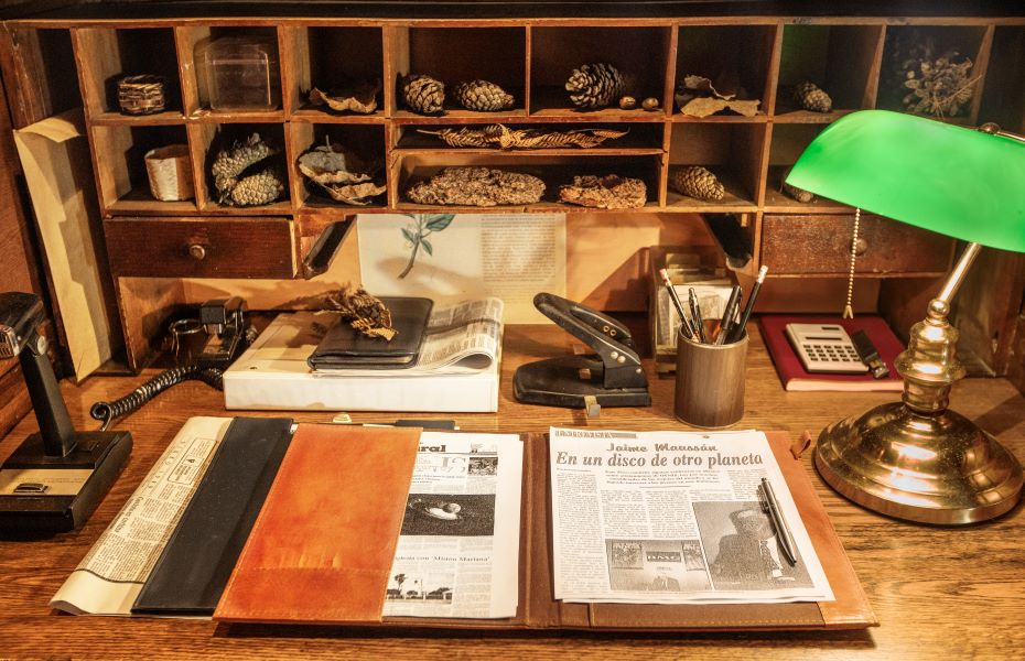 Airbnb Jaime Maussaan. Foto: Airbnb