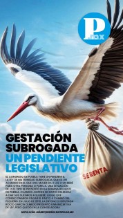 Maternidad subrogada un pendiente legislativo