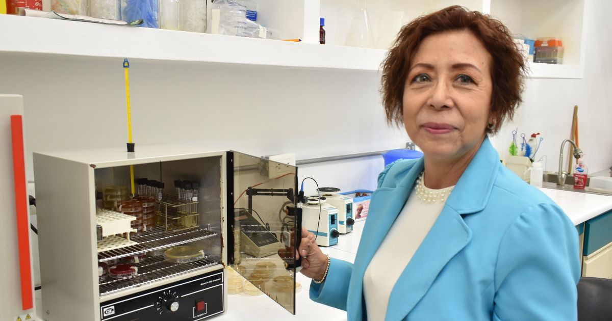 Investigan en la BUAP extractos vegetales para tratar infecciones urinarias