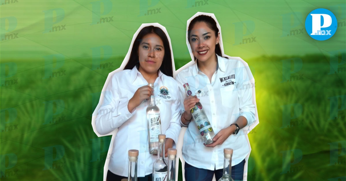 La industria del mezcal en Puebla ha encontrado un nuevo impulso con Las Hijas del Maguey