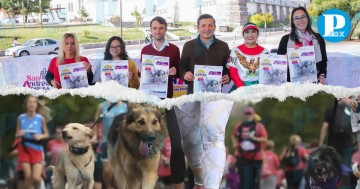 ¡Prepara a tu lomito! Llega la primera carrera canina a Cholula 