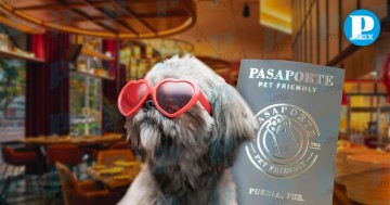  ¡Pasaporte para mascotas! Así lo puedes conseguir en Puebla 