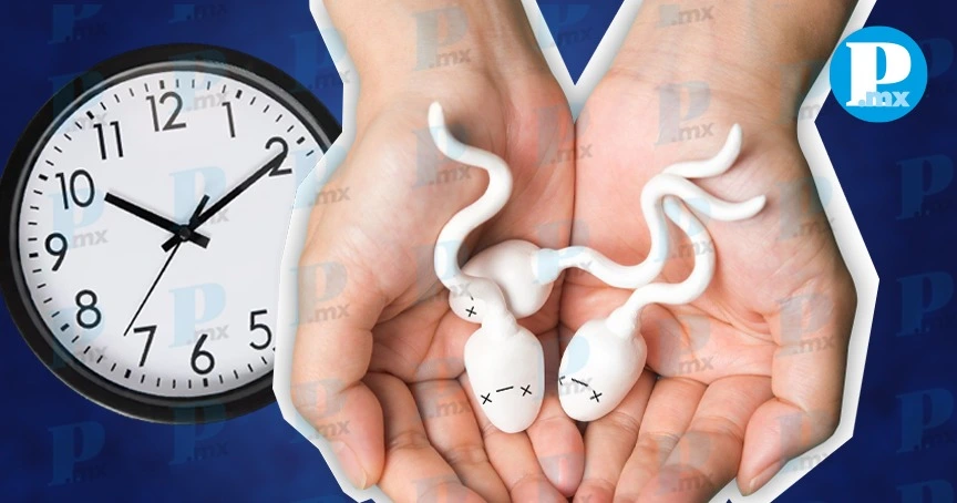 “A los hombres también se les pasa el tiempo” Así funciona su fertilidad 
