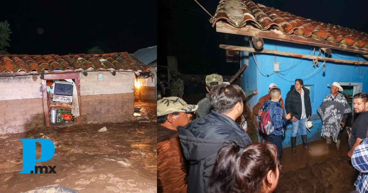 Unidos por Ajolotla: Chignahuapan solicita apoyo para familias afectadas