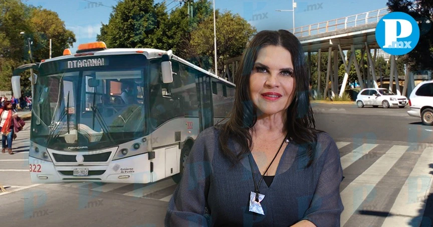 ¡No más espera! Agregarán más unidades del RUTA en horas pico