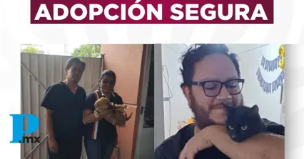 Lucifer y Canelo encuentran familia: Ayuntamiento de Tehuacán celebra adopciones