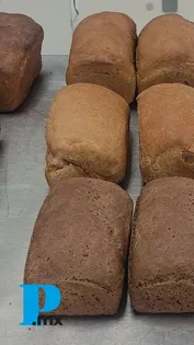 Crean pan con harina de chapulines en Puebla