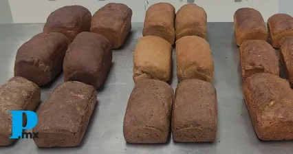 Crean pan con harina de chapulines en Puebla