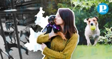 ¡Ya tienen hogar! Adoptan a 38 de 149 animales rescatados en Puebla