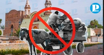 Texmelucan prohíbe el uso de caballos para recolectar basura: habrá multas y arrestos para quien no acate