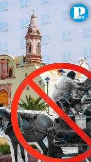 Texmelucan prohíbe el uso de caballos para recolectar basura: habrá multas y arrestos para quien no acate