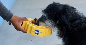 PEDIGREE® y Gran Bodega: Unidos para regalar sobres de amor a perritos en albergues