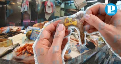 La FDA informó que se reforzarán las medidas de control sanitario en puertos y puntos de distribución