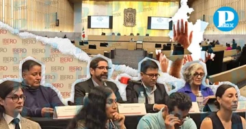 Las agrupaciones hicieron un llamado a las y los diputados a discutir y aprobar la iniciativa