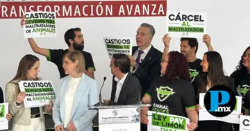 La iniciativa busca tipificar el maltrato animal como delito grave