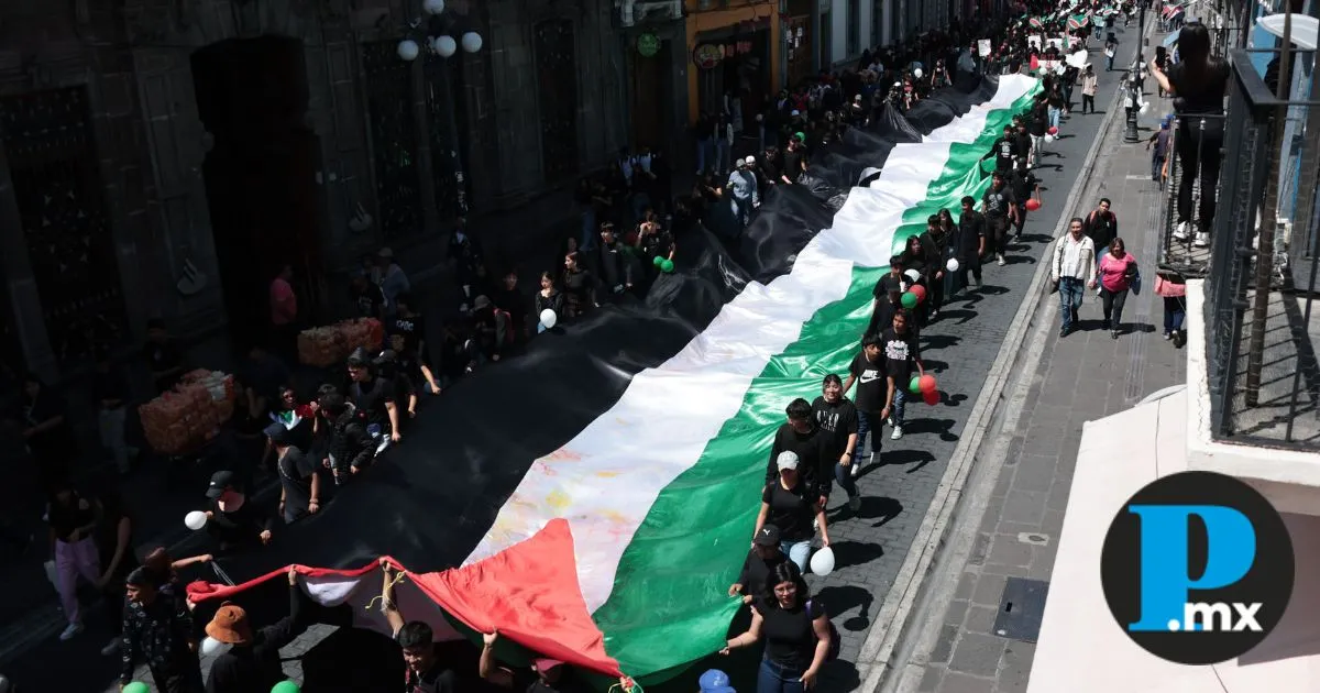Foto de X / Mega marcha a favor de Palestina