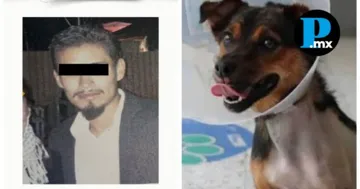 El Poder Judicial determinó el inicio del juicio oral contra un hombre por el delito de crueldad animal tras la agresión a una canina en Huejotzingo