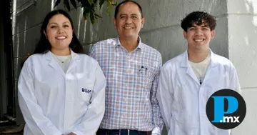 Investigadores de la BUAP usan aceite de orégano contra toxinas en maíz