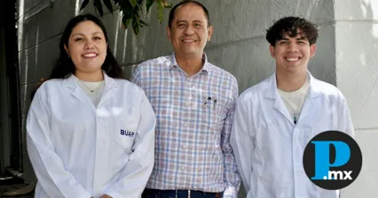 Investigadores de la BUAP usan aceite de orégano contra toxinas en maíz