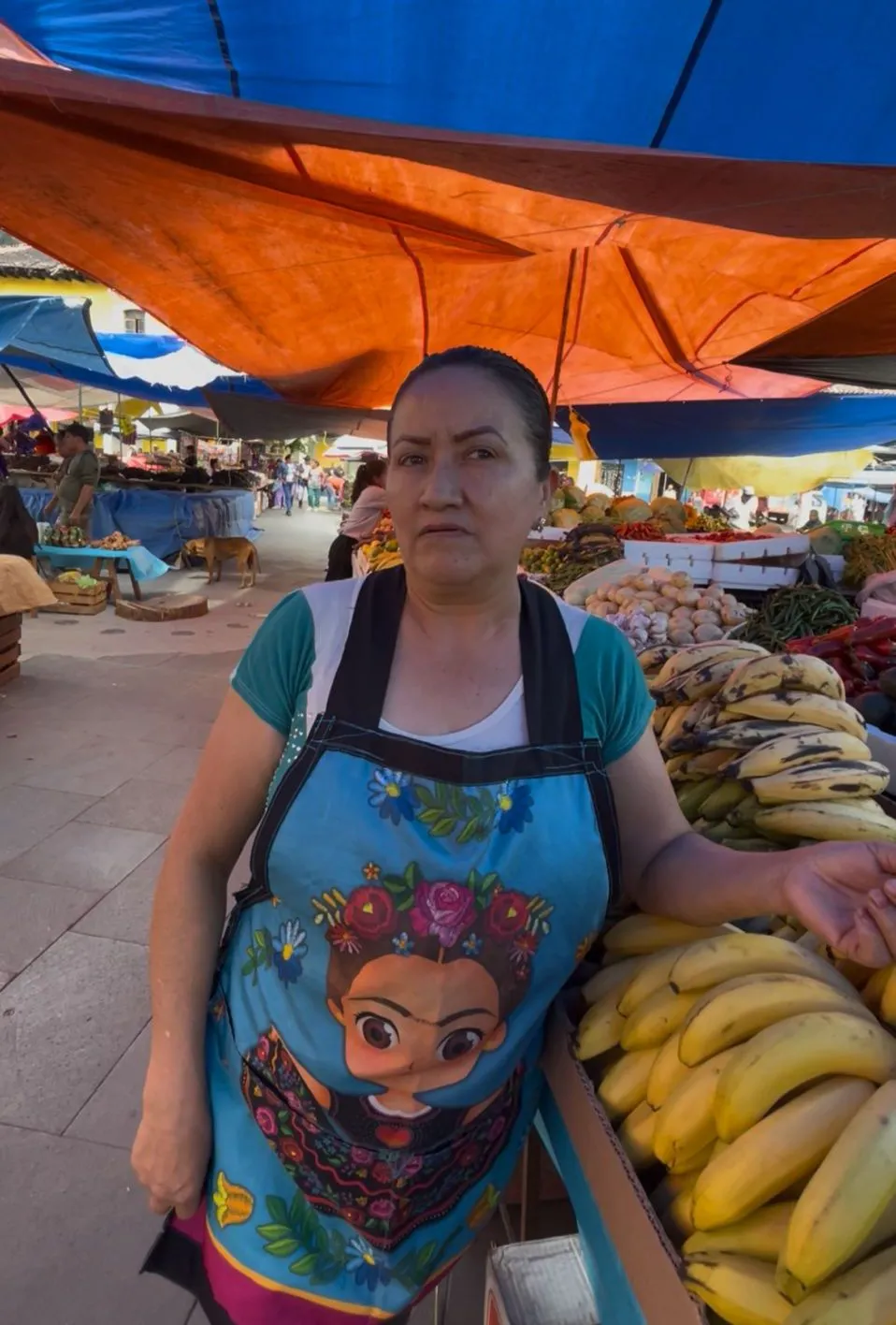 María Mendoza, comerciante de Pahuatlán