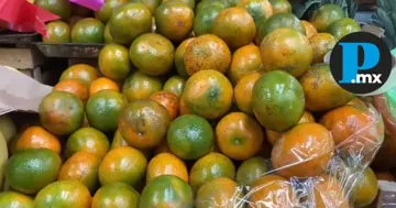 Puebla se posiciona como uno de los estados en donde aumentó un 20% el costo de la mandarina.